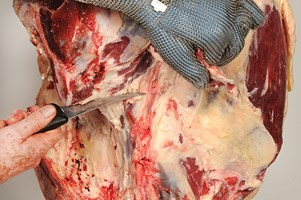 Meat Cut Spec Step 6